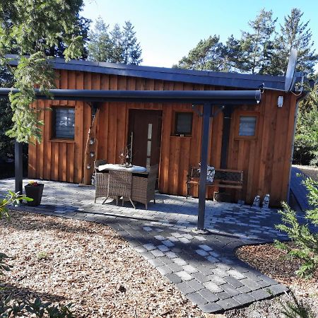 Ferienhaus Leon Mit Sauna Rehburg-Loccum Bagian luar foto