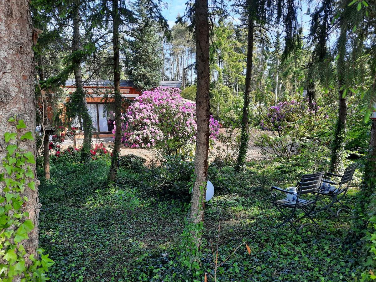 Ferienhaus Leon Mit Sauna Rehburg-Loccum Bagian luar foto
