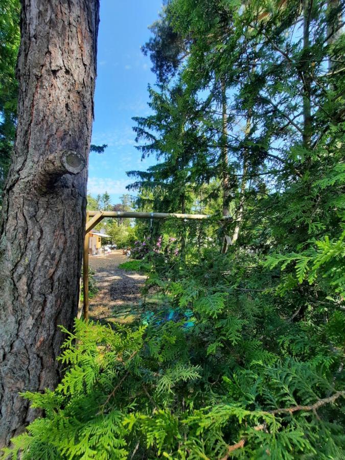 Ferienhaus Leon Mit Sauna Rehburg-Loccum Bagian luar foto