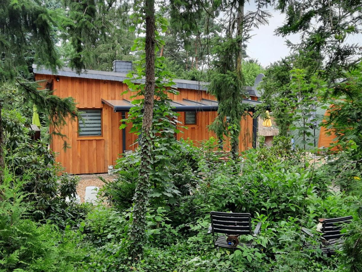 Ferienhaus Leon Mit Sauna Rehburg-Loccum Bagian luar foto