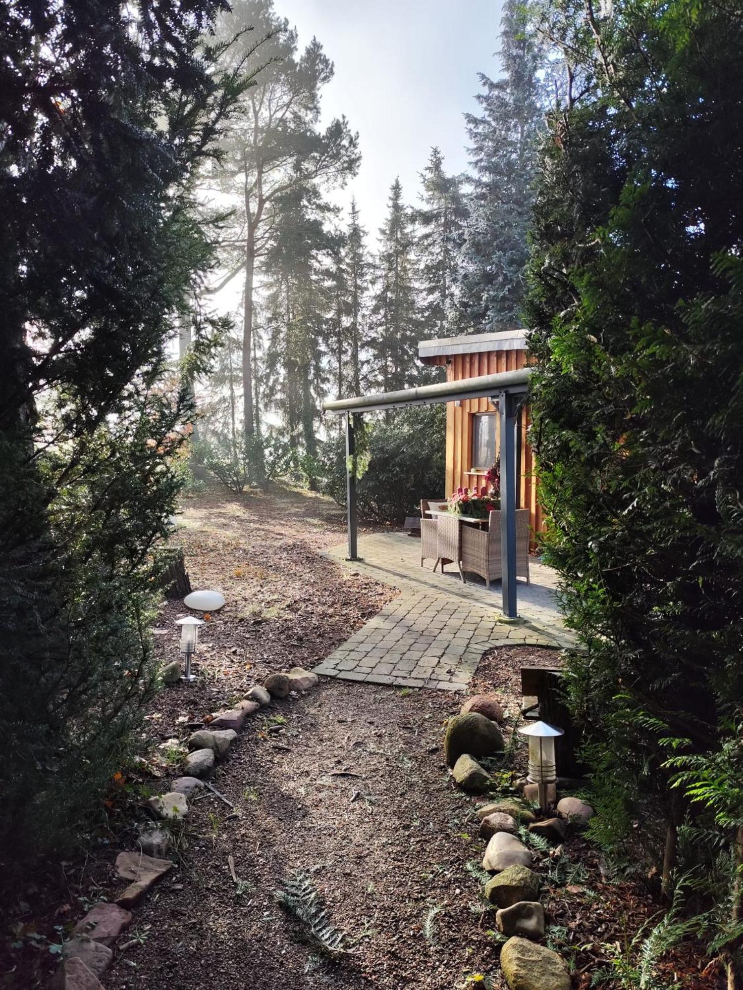 Ferienhaus Leon Mit Sauna Rehburg-Loccum Bagian luar foto